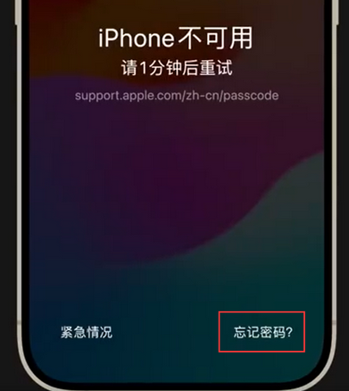 阳泉苹果手机密码维修分享iPhone忘记了刚设置的密码 